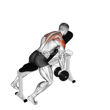 Dumbbell Incline Y-Raise