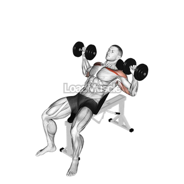 Dumbbell Incline Alternate Press