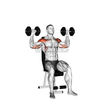 Dumbbell Seated Alternate Shoulder
