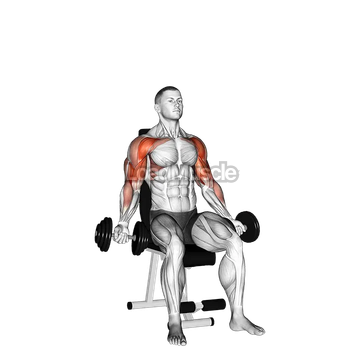Dumbbell Seated Biceps Curl to Shoulder Press