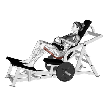 Lever Hip Thrust (plate loaded)