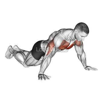 Kneeling Wide Hand Push Up