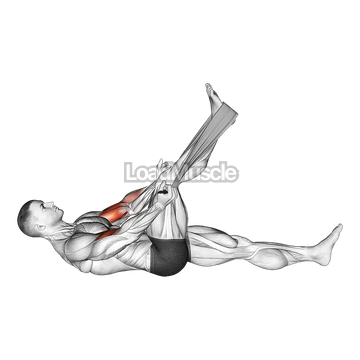 Lying Biceps Curl with Towel