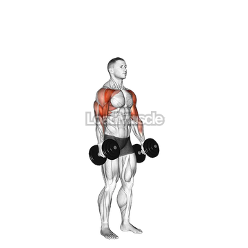 Dumbbell Standing Alternate Hammer Curl and Press