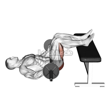 Barbell Glute Bridge Two Legs on Bench