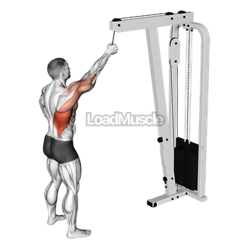 Cable One Arm Pulldown