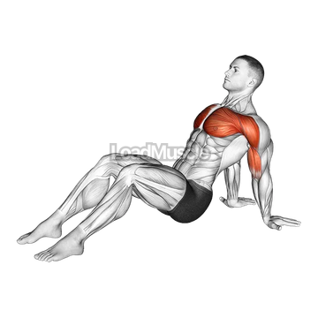 Seated Shoulder Flexor Depresor Retractor Stretch Bent Knee