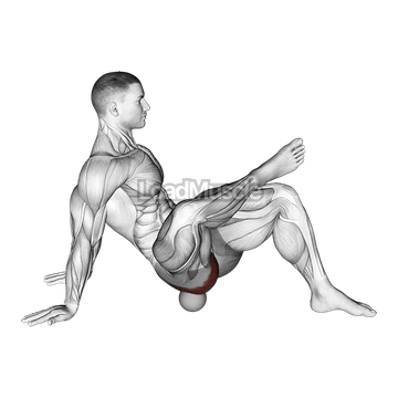 Roll Ball Piriformis Release