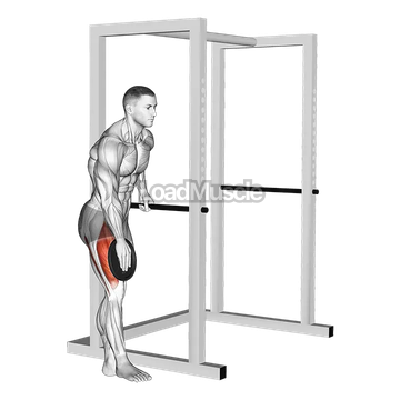 Weighted Single Leg Lift
