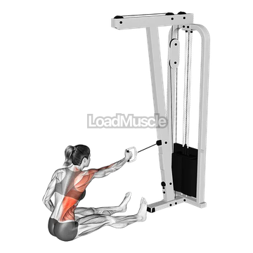 Cable One Arm Twisting Seated Row