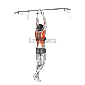 Chin-ups (narrow parallel grip)