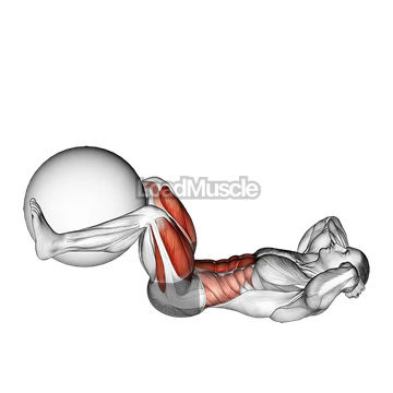 Leg Extension Crunch (with Stability Ball)