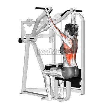 Reverse Grip Machine Lat Pulldown
