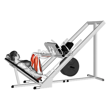 Sled 45 degrees Narrow Stance Leg Press