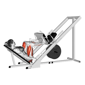 Sled 45 degrees Wide Stance Leg Press