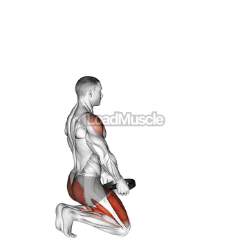 Weighted Kneeling Step with Swing