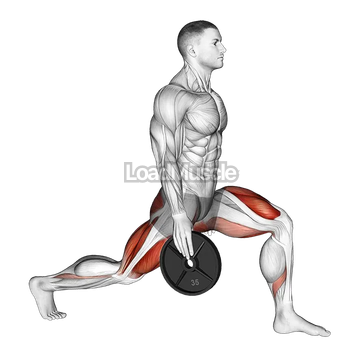 Weighted Stretch Lunge