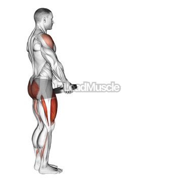 Weighted Lunge with Swing