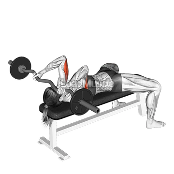 EZ Barbell Lying Triceps Extension