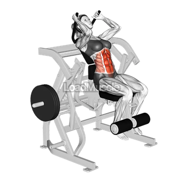 Lever Seated Leg Raise Crunch (plate loaded)