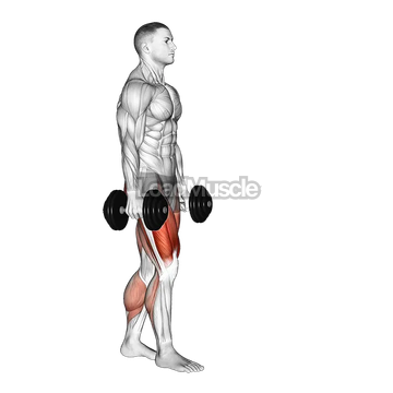 Dumbbell RDL Death March