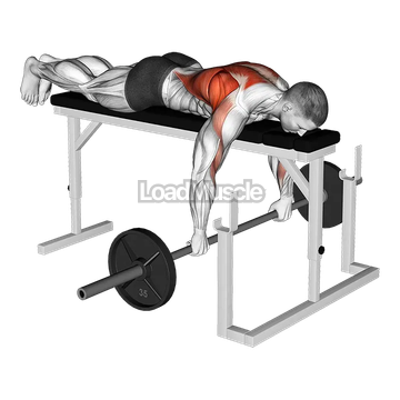 Barbell Lying Row on Rack