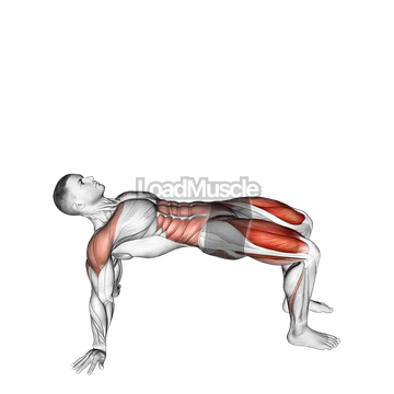 Reverse Plank with Leg Lift