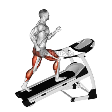 Walking on Incline Treadmill