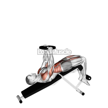 Weighted Decline Sit-up