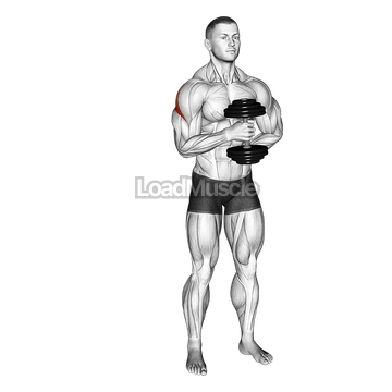 Dumbbell External Rotation