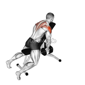 Dumbbell Chest Supported Lateral Raises