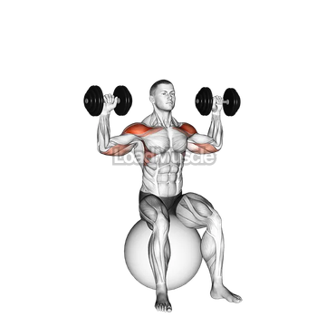 Dumbbell Seated on Exercise Ball Shoulder Press