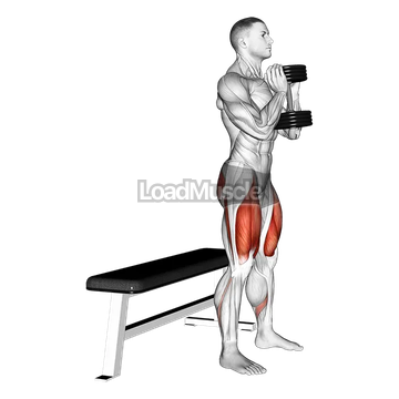Dumbbell Goblet Box Squat