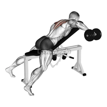 Dumbbell Incline Alternate Reverse Fly