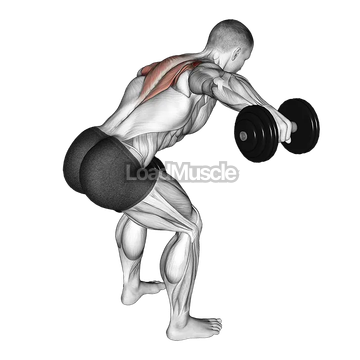 Dumbbell Bent Over Alternate Rear Delt Fly