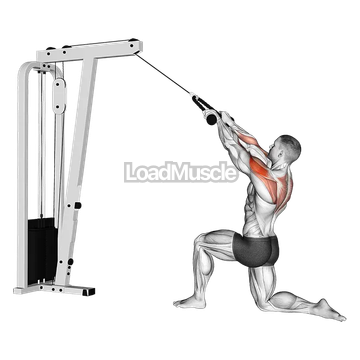 Cable Kneeling Rear Delt Row (with rope)