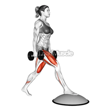 Dumbbell Split Squat Front Foot Elevanted with Bosu Ball