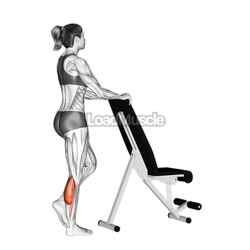 Standing Single Leg Calf Raise with Support