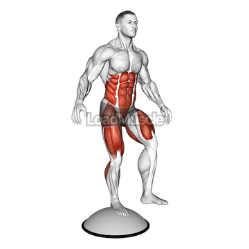 Single Leg Stand on Bosu Ball