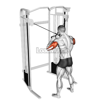 Cable Standing High Cross Triceps Extension