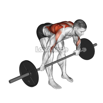 Barbell Bent Over Wide Grip Row