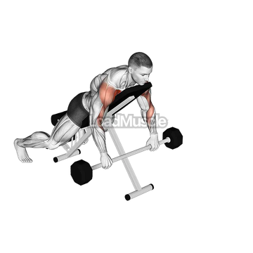 Barbell Incline Lying Rear Delt Raise