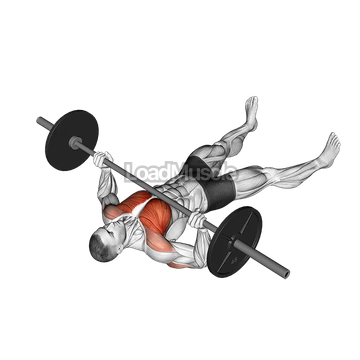 Barbell Floor Chest Press