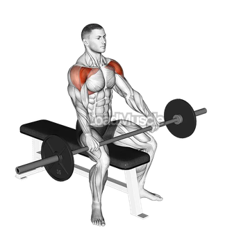 Barbell Seated Front Raise