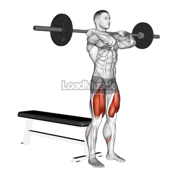 Barbell Front Bench Squat