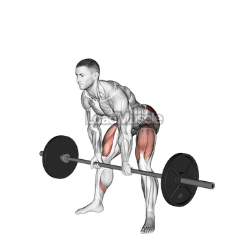 Barbell Sumo Romanian Deadlift