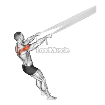 Rear Delt Fly with Bed Sheet