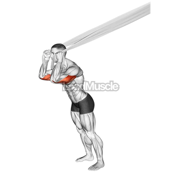 Overhead Triceps Extension with Bed Sheet