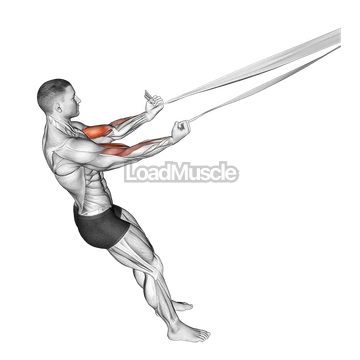 Biceps Curl with Bed Sheet