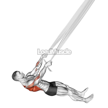 Inverted Row with Bed Sheet